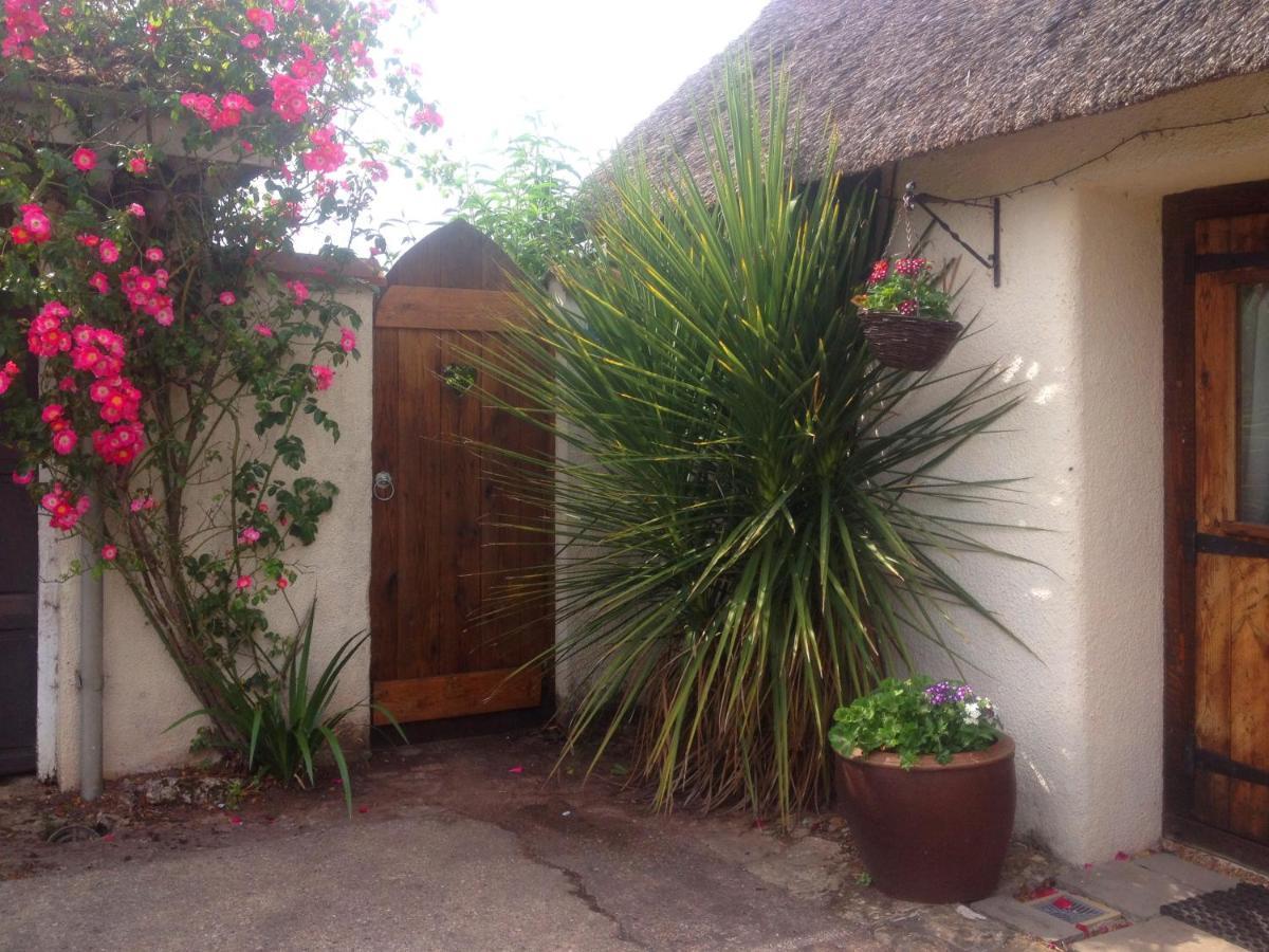 The Nest - Thatched Seaside Country Cottage For Two Stokeinteignhead Exterior photo
