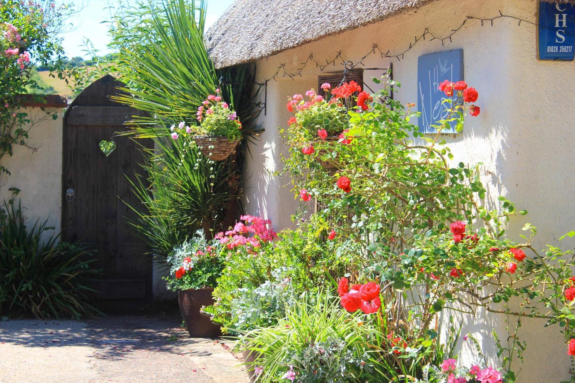 The Nest - Thatched Seaside Country Cottage For Two Stokeinteignhead Exterior photo